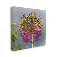 Stupell Modern Papadie Roz Abstract Botanic & Floral Pictura Galerie Înfășurat Panza Imprimare Perete Arta
