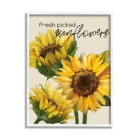 Stupell Industries proaspăt culese floarea-soarelui caligrafie flori galbene vii artă grafică artă cu cadru alb imprimare artă