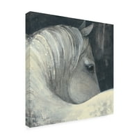 Marcă comercială Fine Art 'Bijou Horse' Canvas Art de Albena Hristova