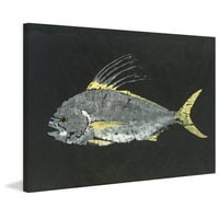 Marmont Hill Roosterfish de Warren Sellers pictură imprimată pe pânză înfășurată