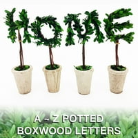 Casa moderna 13 real conservate Boxwood Monogram litere W teracota Pot-B