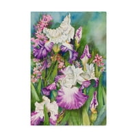 Marcă comercială Fine Art 'Iris Garden' Canvas Art de Joanne Porter