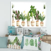 Designart 'Trio de plante de Apartament Sanseviera Plante de șarpe pe alb' fermă încadrată Art Print