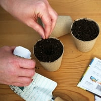 Ferry-Morse 12g fasole, pachet de semințe de plante vegetale Lima Henderson