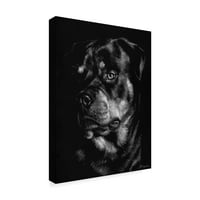 Marcă comercială Fine Art Canine Scratchboard XII Canvas Art de Julie T. Chapman