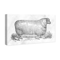 Wynwood Studio Animals Wall Art Canvas printuri 'oaie în argint' animale de fermă-gri, alb