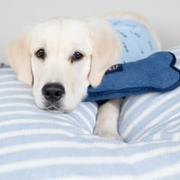 Haine pentru câini și pisici Gap Pet, Pijama pentru animale de companie cu logo Gap clasic, albastru, mic