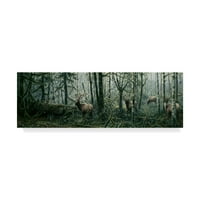 Marcă comercială Fine Art 'Enchanted Forest' Canvas Art de Jeff Tift