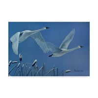Marcă comercială Fine Art 'Swans' Canvas Art de Rusty Frentner