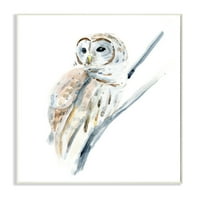 Stupell Industries Soft Arctic Owl cocoțat pe o placă minimă de perete, 15, Design de Annie Warren